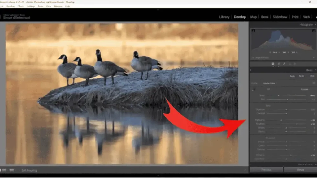 How to use Lightroom