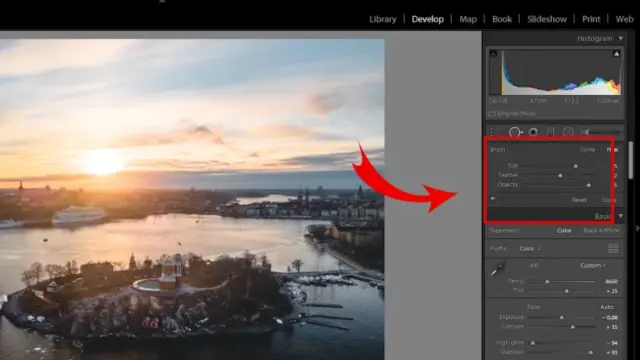 Lightroom remove unwanted