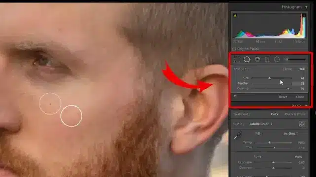 Lightroom remove unwanted